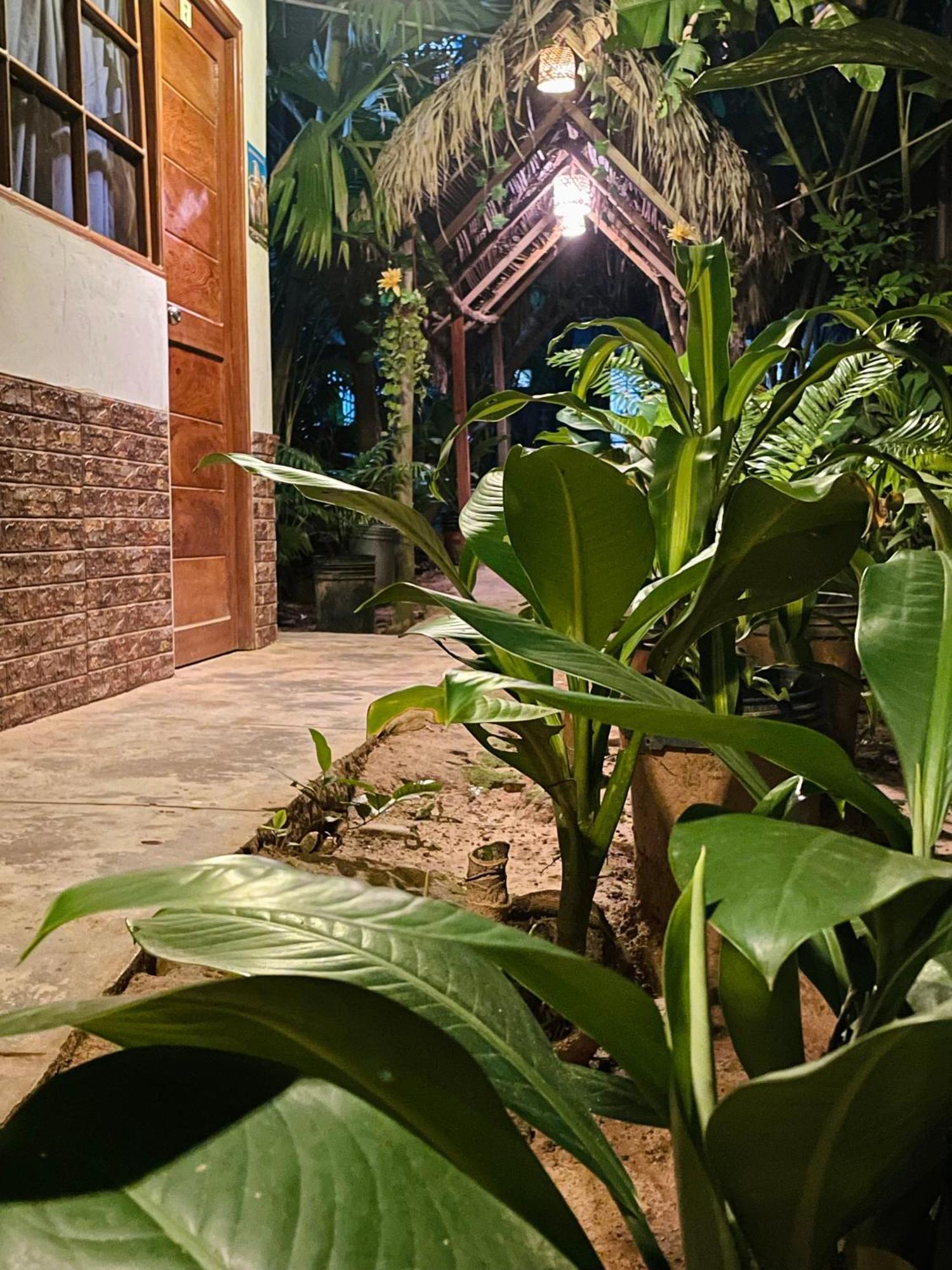 Hospedaje Ecologico Purma Wasi Tarapoto Extérieur photo