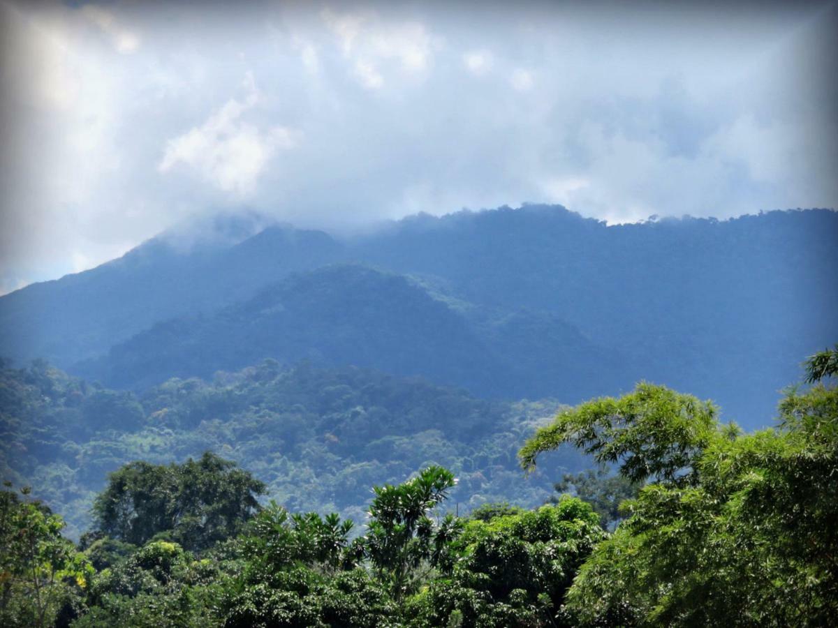 Hospedaje Ecologico Purma Wasi Tarapoto Extérieur photo